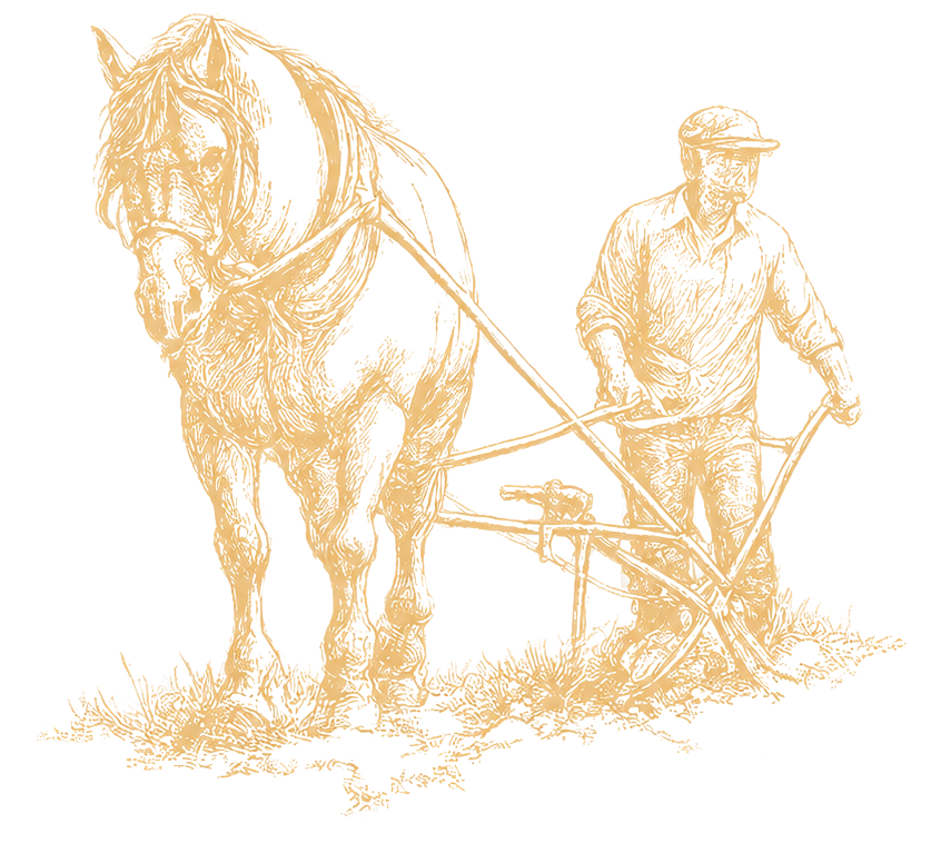 Masseria Montanari